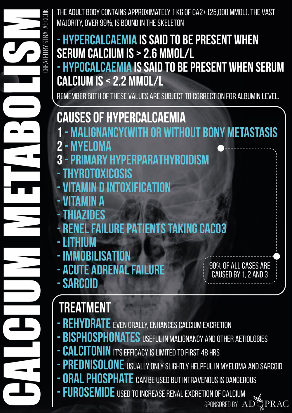 Calcium_Metabolism-smaller