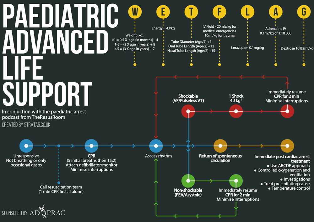 Paediatric advanced life support_smaller