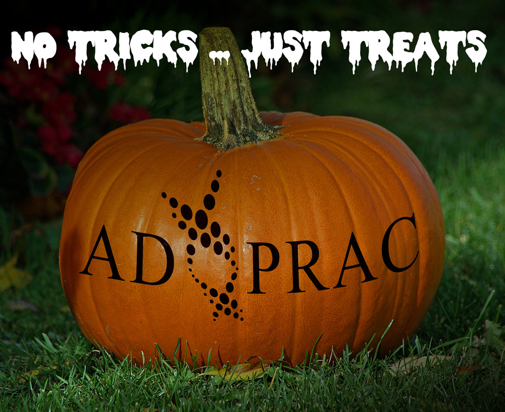 Pumpkin_no-tricks